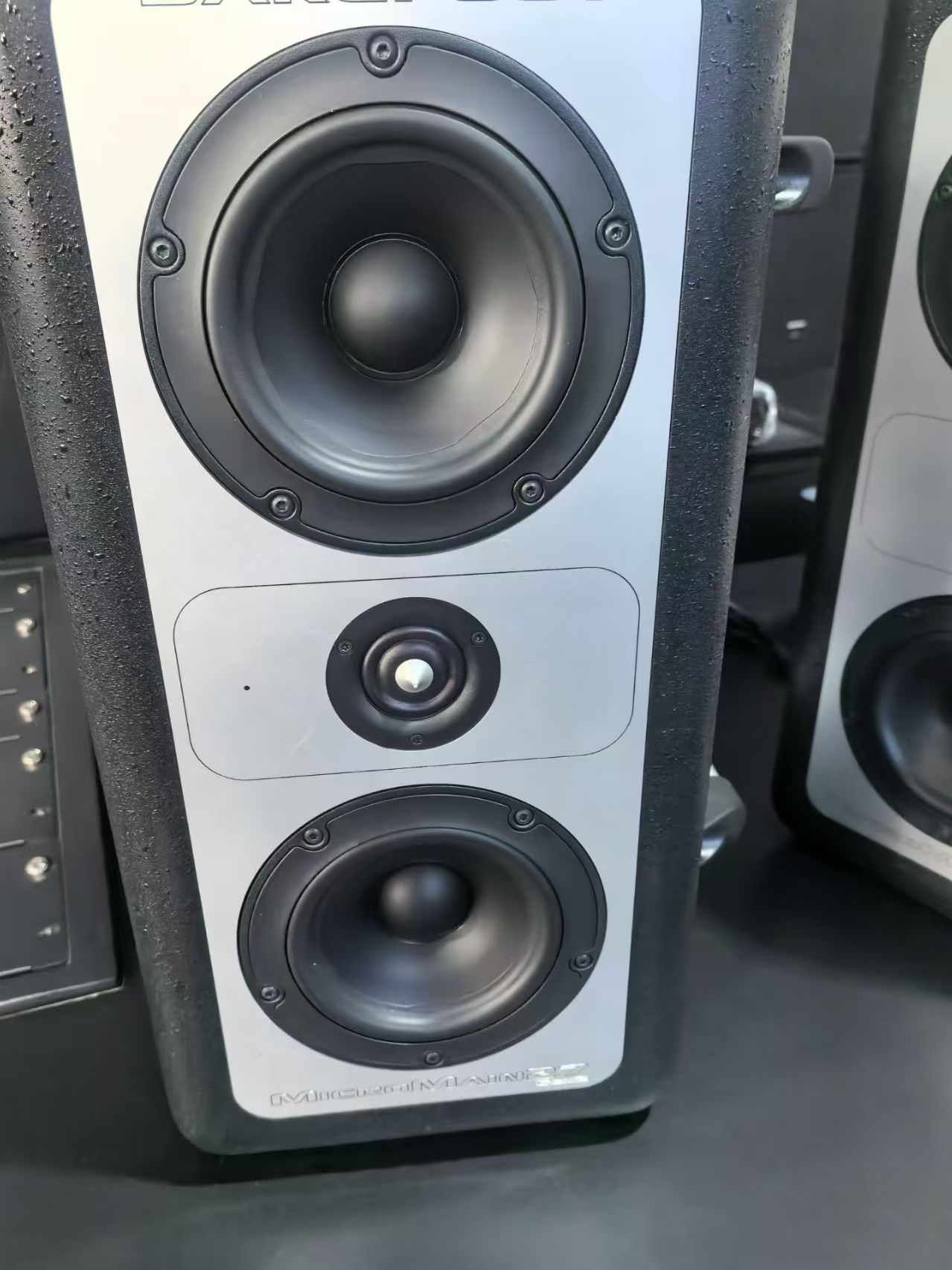 Two-Way Full-Range PA Speaker